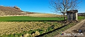 20230110_152521 - Dalla terra... il grano